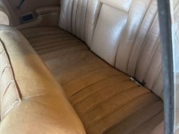 1969 Mercedes-Benz 220SE for sale in Michigan (ID-144814)