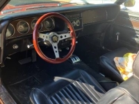 1969 Mercury Cougar for sale in Michigan (ID-145226)