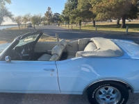 1969 Oldsmobile 442 for sale in Michigan (ID-123892)