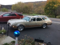 1969 Oldsmobile Vista Cruiser for sale in Michigan (ID-113769)