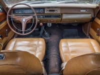 1969 Plymouth Road Runner for sale (ID-125124)