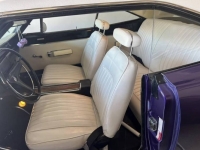 1969 Plymouth Road Runner for sale in Michigan (ID-128101)