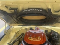 1969 Plymouth Road Runner for sale in Michigan (ID-130772)