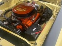 1969 Plymouth Road Runner for sale in Michigan (ID-130772)