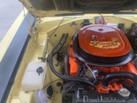 1969 Plymouth Road Runner for sale in Michigan (ID-130772)