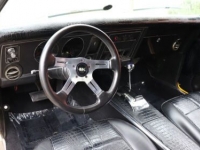 1969 Pontiac Firebird for sale in Michigan (ID-101419)