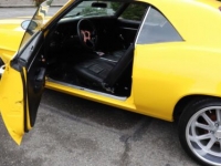 1969 Pontiac Firebird for sale in Michigan (ID-101419)