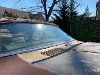 1969 Pontiac Firebird for sale in Michigan (ID-108839)