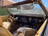 1969 Pontiac Firebird for sale in Michigan (ID-108839)