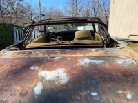 1969 Pontiac Firebird for sale in Michigan (ID-108839)