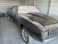 1969 Pontiac Firebird for sale in Michigan (ID-114026)