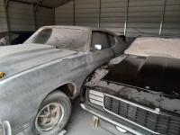 1969 Pontiac Firebird for sale in Michigan (ID-114026)