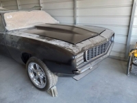 1969 Pontiac Firebird for sale in Michigan (ID-114026)