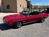 1969 Pontiac Firebird for sale in Michigan (ID-120948)