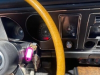1969 Pontiac Firebird for sale in Michigan (ID-120948)