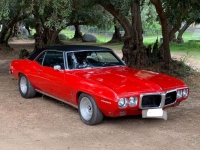 1969 Pontiac Firebird for sale in Michigan (ID-123715)