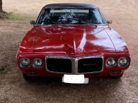 1969 Pontiac Firebird for sale in Michigan (ID-123715)