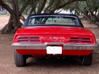 1969 Pontiac Firebird for sale in Michigan (ID-123715)