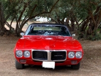 1969 Pontiac Firebird for sale in Michigan (ID-123715)