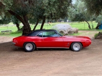 1969 Pontiac Firebird for sale in Michigan (ID-123715)