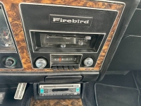 1969 Pontiac Firebird for sale in Michigan (ID-124041)