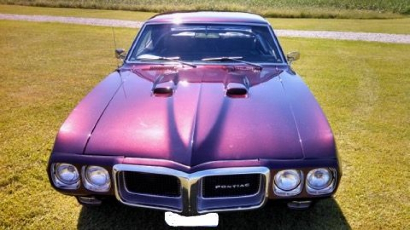 1969 Pontiac Firebird for sale in Michigan (ID-126291) 1969 Pontiac Firebird for sale in Michigan (ID-126291)