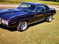 1969 Pontiac Firebird for sale in Michigan (ID-126291)