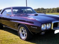 1969 Pontiac Firebird for sale in Michigan (ID-126291)