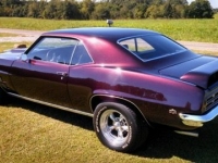 1969 Pontiac Firebird for sale in Michigan (ID-126291)