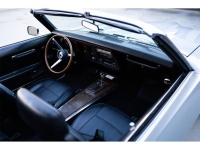 1969 Pontiac Firebird for sale in Michigan (ID-128120)