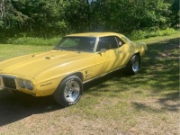 1969 Pontiac Firebird for sale in Michigan (ID-130841)