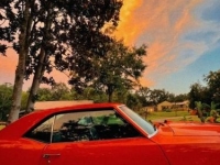 1969 Pontiac Firebird for sale in Michigan (ID-131644)