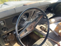 1969 Pontiac Firebird for sale in Michigan (ID-136264)