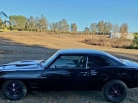 1969 Pontiac Firebird for sale in Michigan (ID-136768)