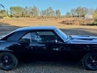1969 Pontiac Firebird for sale in Michigan (ID-136768)