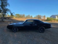 1969 Pontiac Firebird for sale in Michigan (ID-137139)