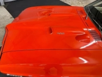 1969 Pontiac Firebird for sale in Michigan (ID-137207)