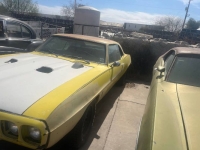1969 Pontiac Firebird for sale in Michigan (ID-139623)