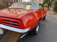 1969 Pontiac Firebird for sale in Michigan (ID-139988)