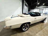 1969 Pontiac Firebird for sale in Michigan (ID-144274)