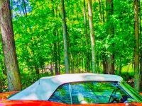 1969 Pontiac Firebird for sale in Michigan (ID-144759)