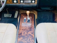 1969 Pontiac Firebird for sale in Michigan (ID-144759)