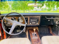 1969 Pontiac Firebird for sale in Michigan (ID-144759)