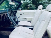 1969 Pontiac Firebird for sale in Michigan (ID-144759)