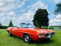 1969 Pontiac Firebird for sale (ID-144782)