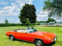1969 Pontiac Firebird for sale (ID-144782)