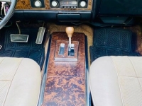 1969 Pontiac Firebird for sale (ID-144782)