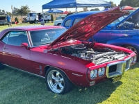 1969 Pontiac Firebird for sale in Michigan (ID-146042)
