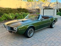 1969 Pontiac Firebird for sale in Michigan (ID-155352)