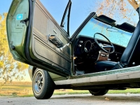 1969 Pontiac Firebird for sale in Michigan (ID-155352)